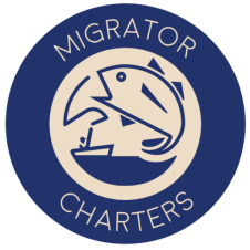 cropped-migrator-logo-original1.png